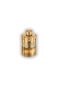Azzaro Forever Wanted Elixir